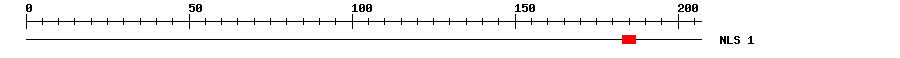 NLS