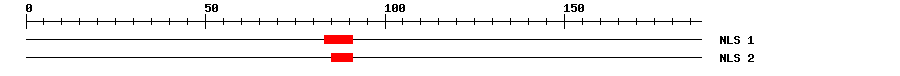 NLS