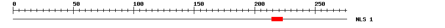 NLS