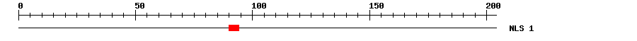 NLS
