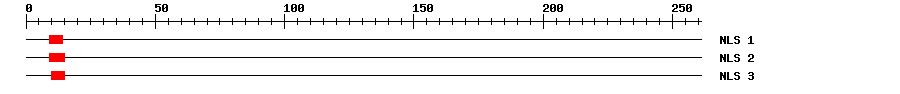 NLS