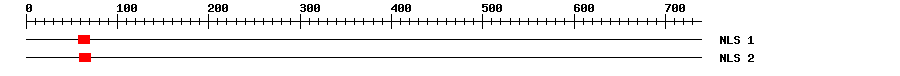 NLS