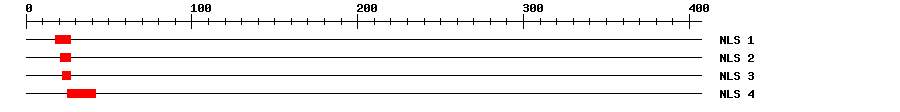 NLS
