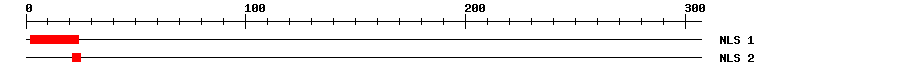 NLS