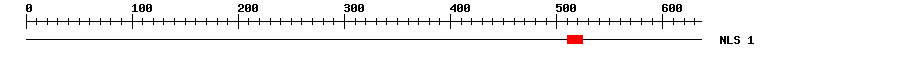 NLS