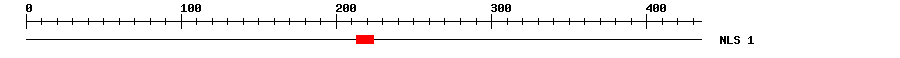 NLS