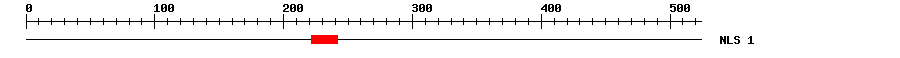 NLS