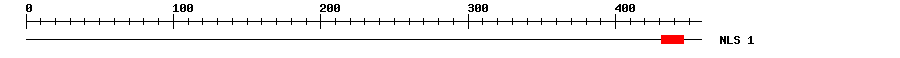 NLS