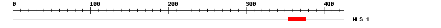 NLS