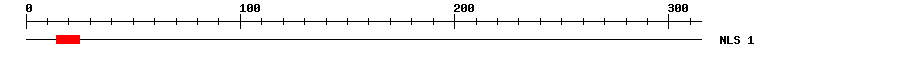 NLS