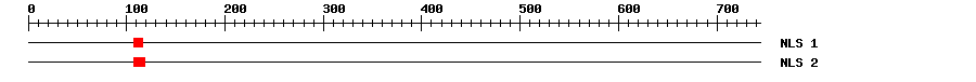 NLS