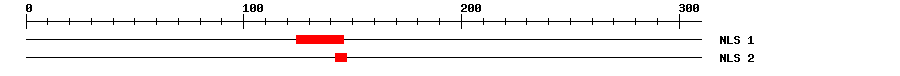NLS
