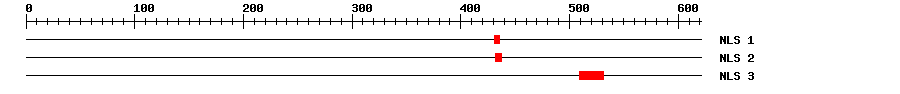 NLS