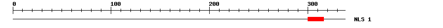 NLS