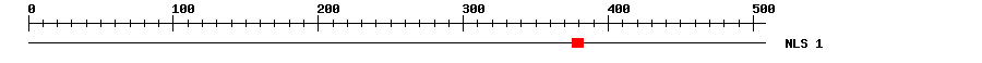 NLS