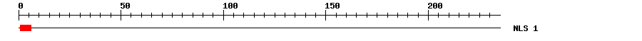 NLS