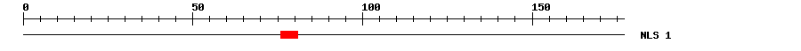 NLS