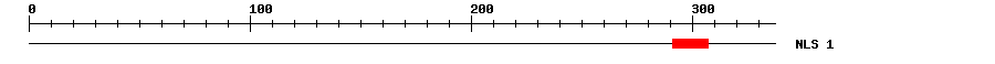 NLS