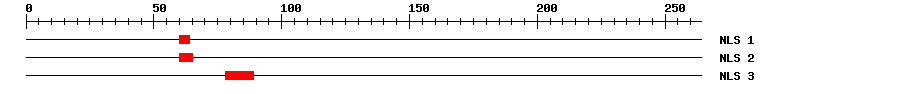 NLS
