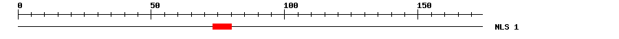 NLS