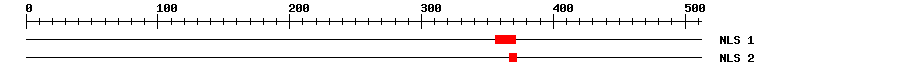 NLS