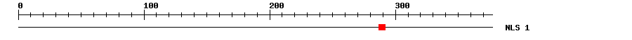 NLS