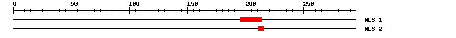 NLS