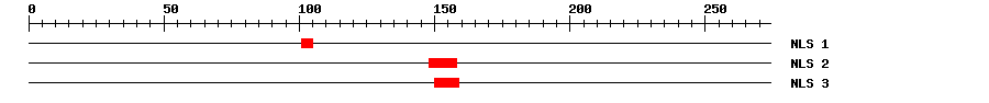 NLS