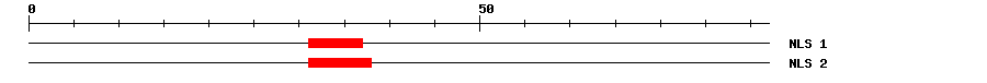 NLS