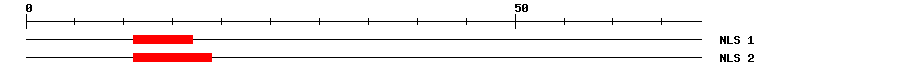 NLS