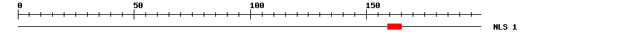 NLS