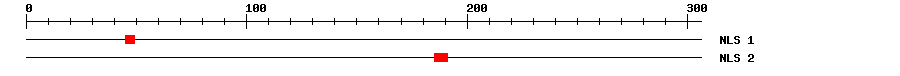 NLS