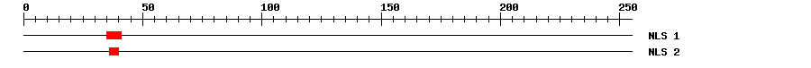 NLS