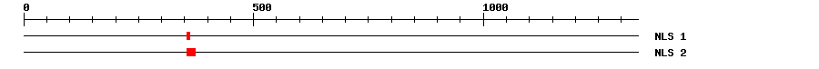 NLS