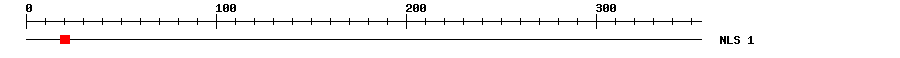 NLS