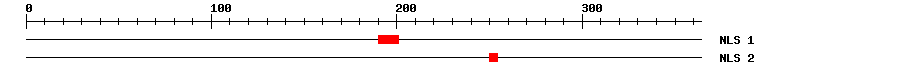 NLS