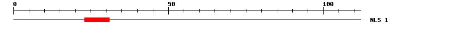 NLS