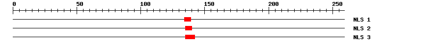 NLS