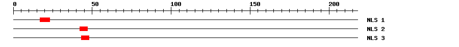 NLS