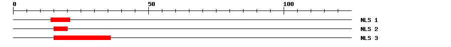 NLS