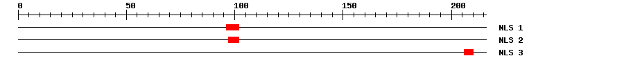 NLS