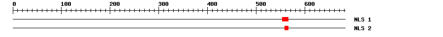 NLS