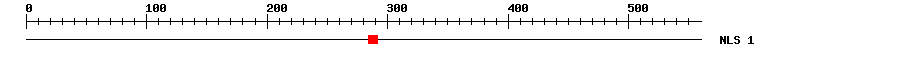 NLS