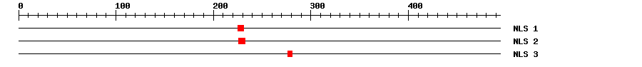 NLS