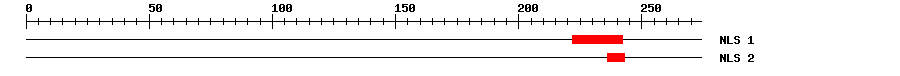 NLS