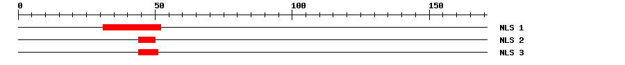 NLS