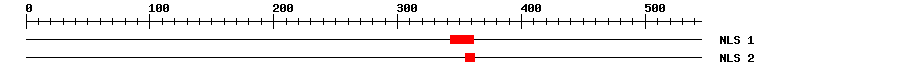 NLS