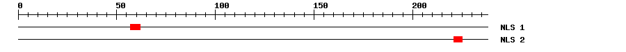 NLS