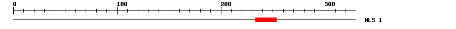 NLS