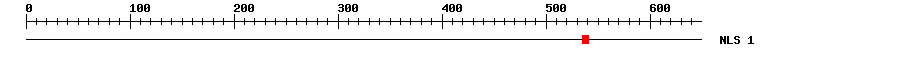 NLS